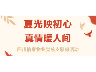 夏光映初心 真情暖人間